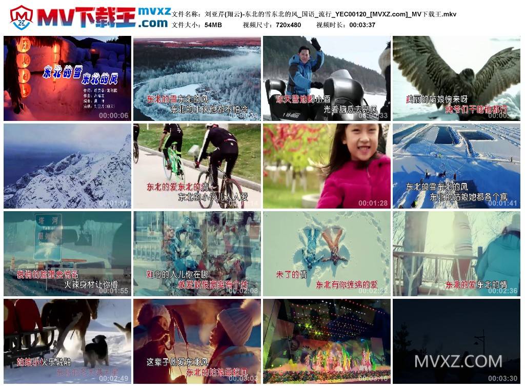 刘亚芹(翔云)-东北的雪东北的风_国语_流行_YEC00120